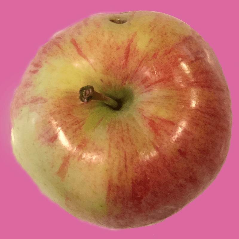 photo apple